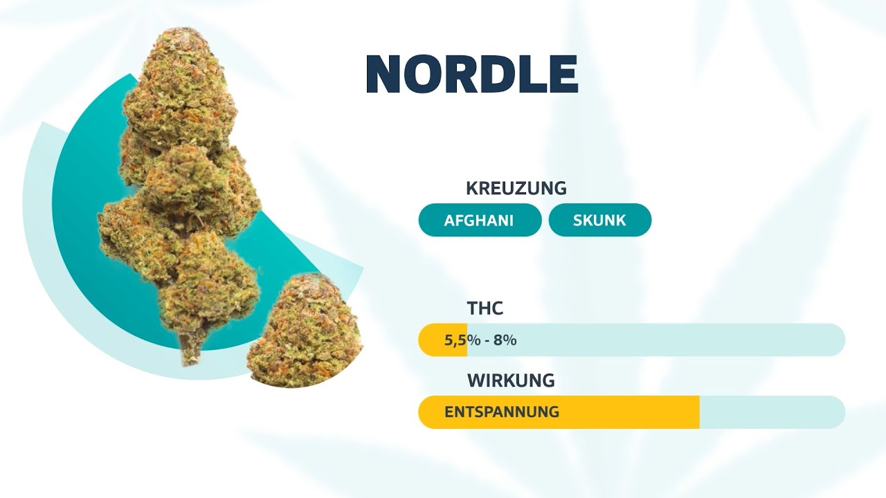 Medizinisches Cannabis: Sorten, Wirkung Und Therapie