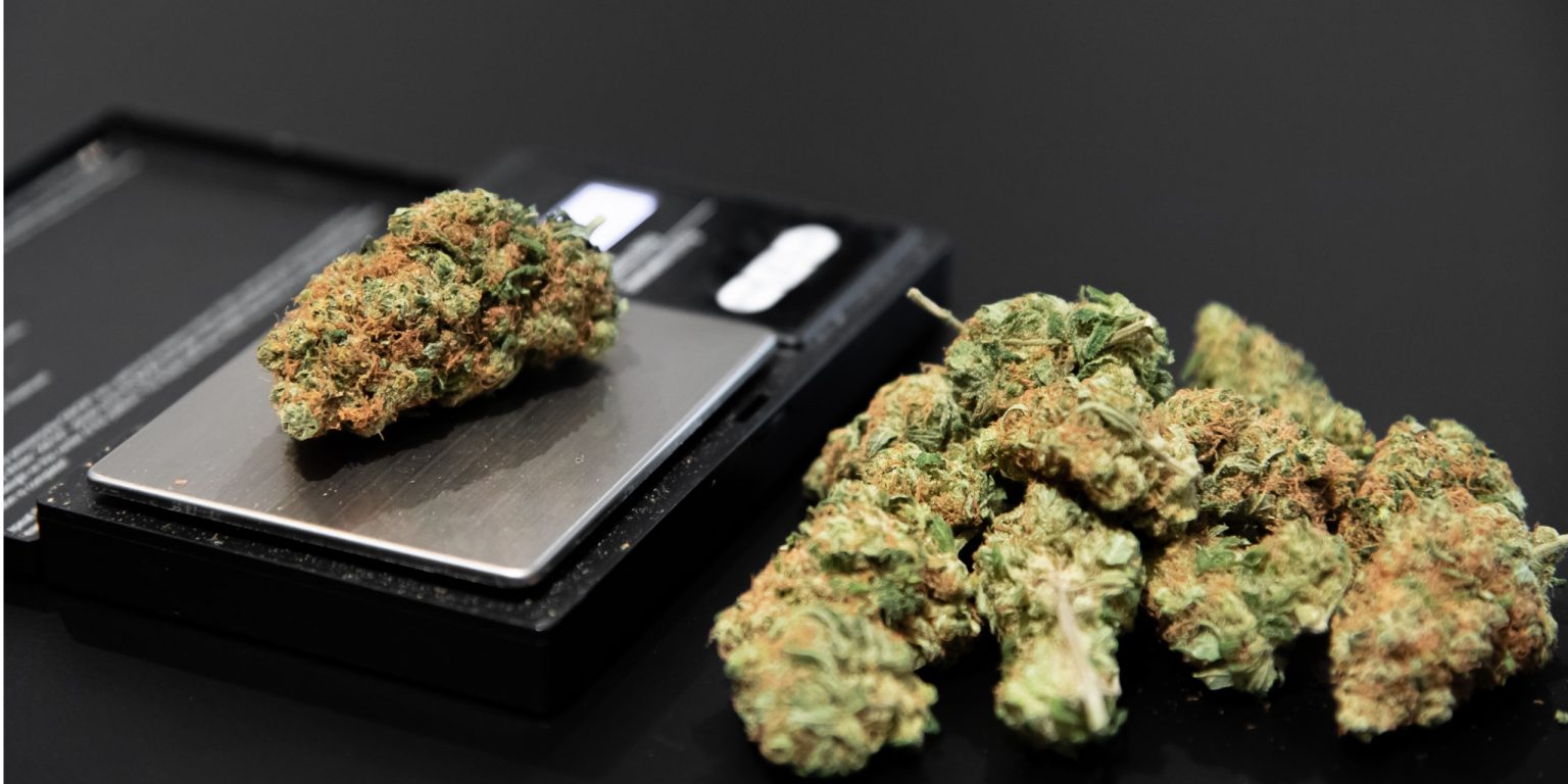 Cannabissorten Gattungen und Kultivare mediorbis