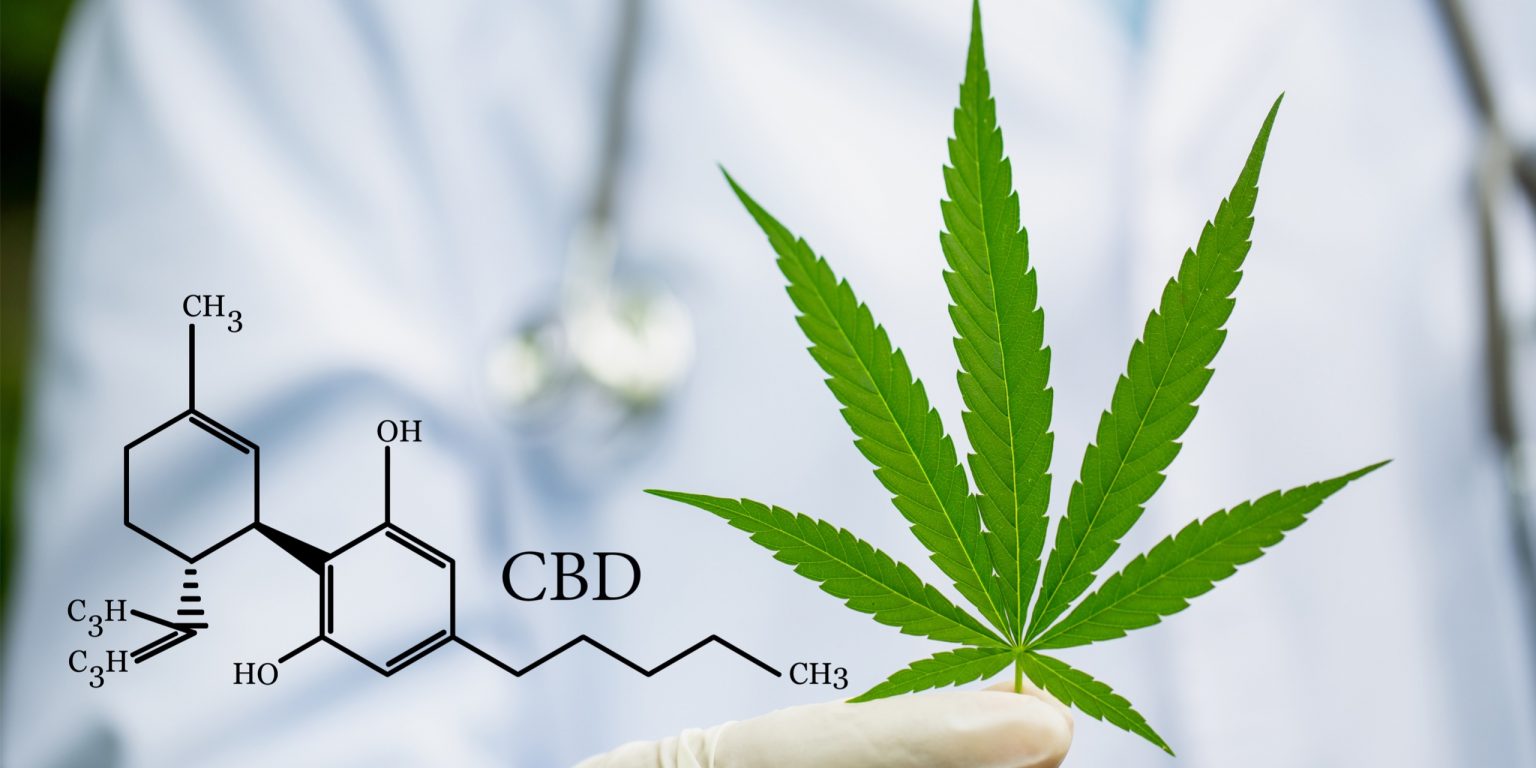 IndicaWirkung Cannabis zur Schmerzlinderung mediorbis