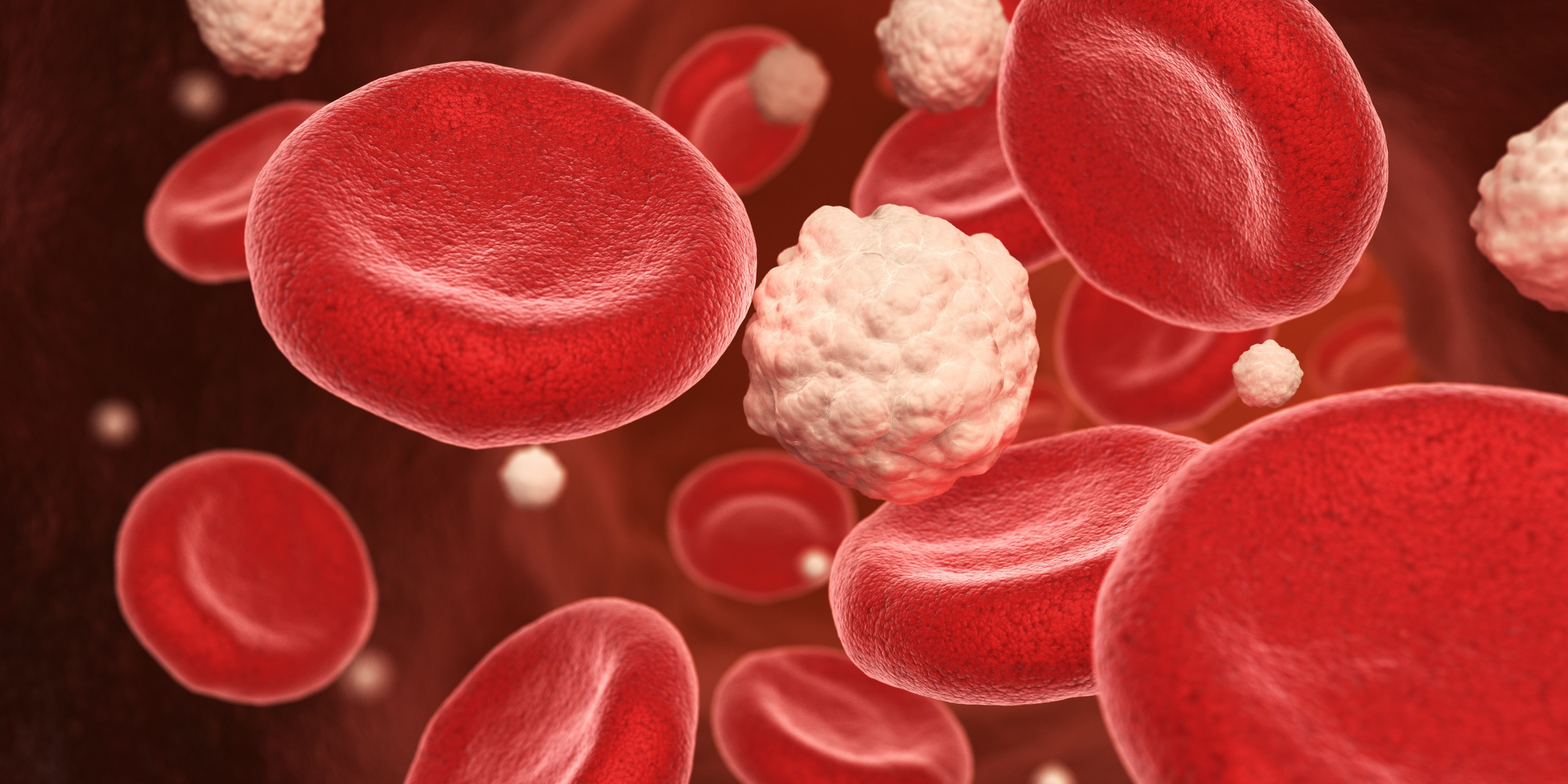 Blutzellen und Glukose in einer Vene.