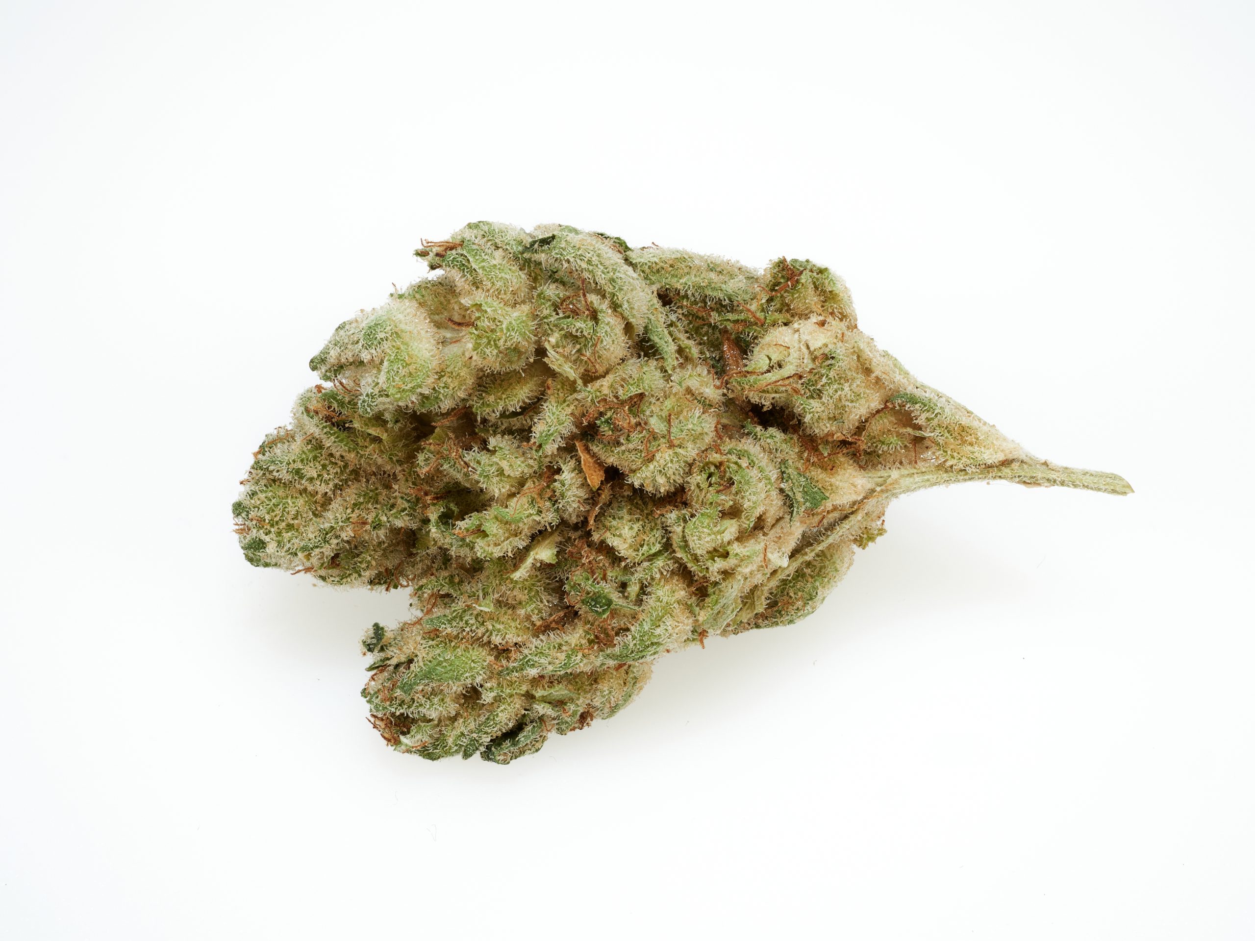 Gorilla Glue #4
