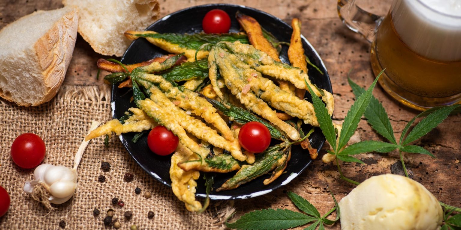 Hanf So vielseitig ist die Hanfpflanze mediorbis