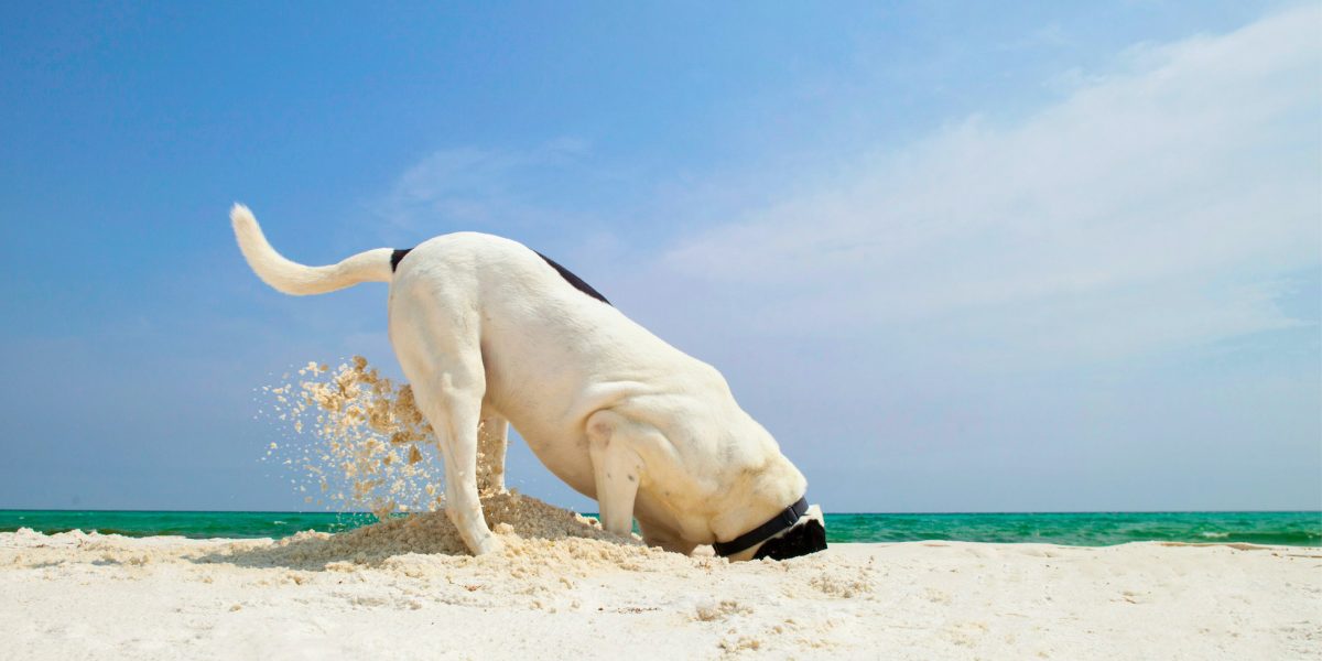 Suche über Praxisbörse