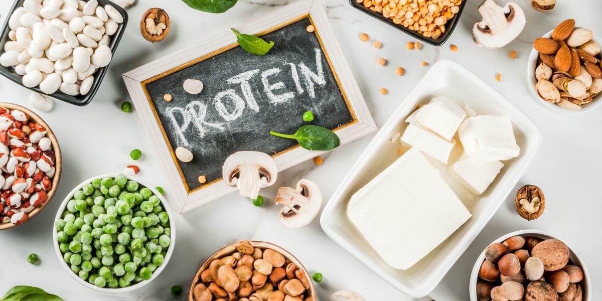 Protein Cannabis