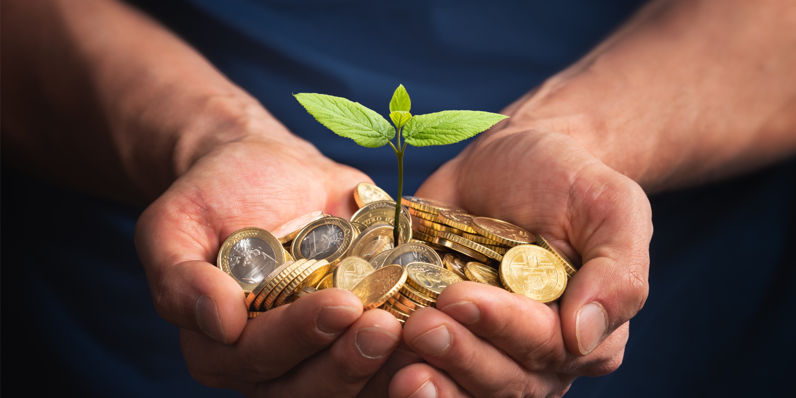 Steuerberatung_Aerzte_Berufsausuebungsgemeinschaft