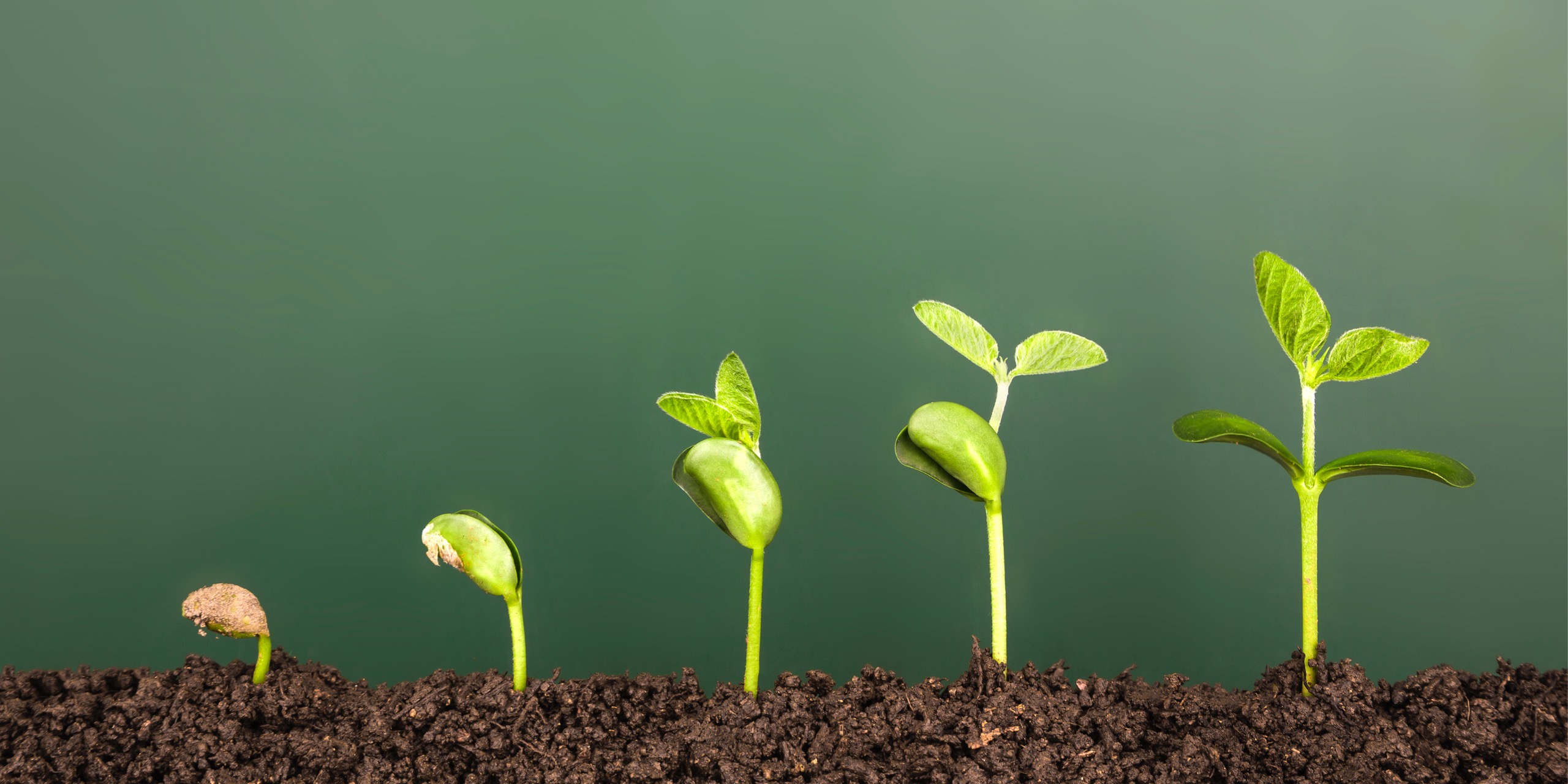 Steuerberatung_Aerzte_Praxisuebernahme