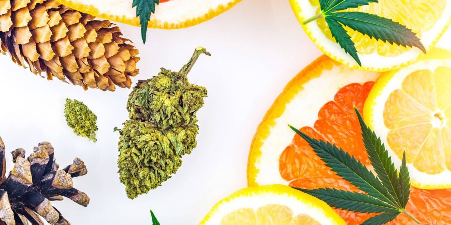 Terpene