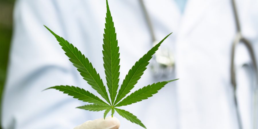 cannabis-aerzte-arzt