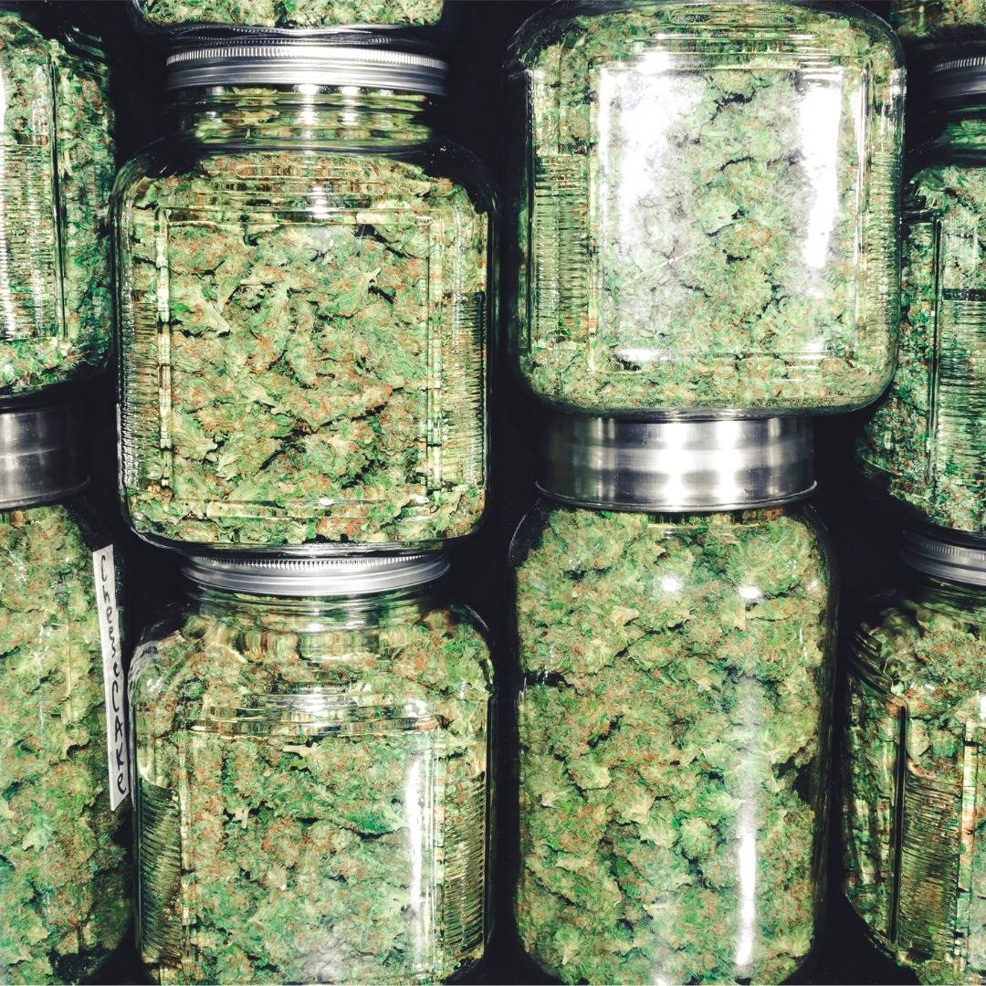 Diabetes: verschiedenen Cannabis-Sorten für Diabetes-Patienten