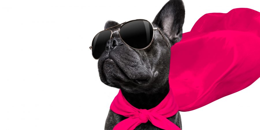 finanzierungsoptimierung-fokus