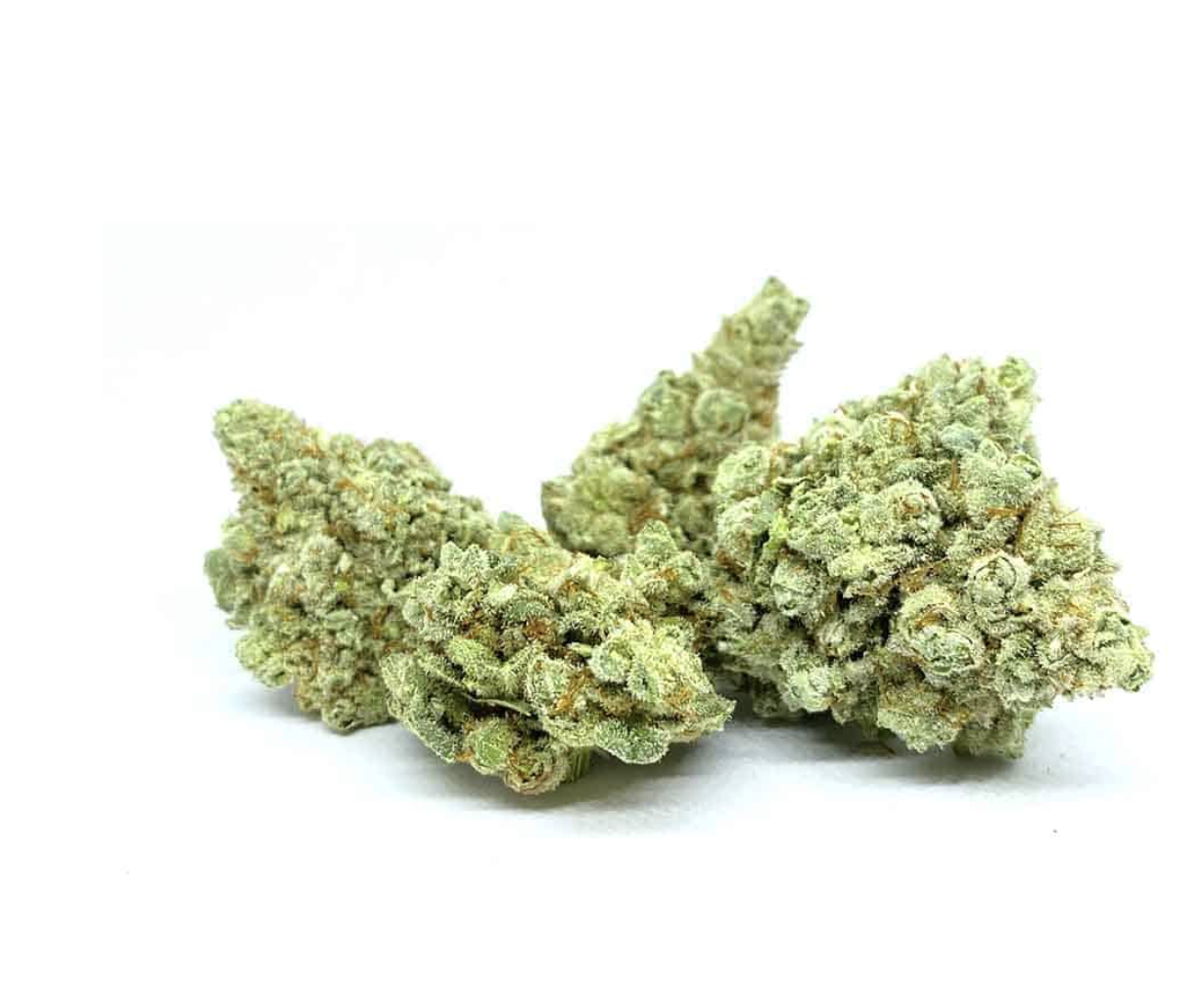 Gorilla Glue