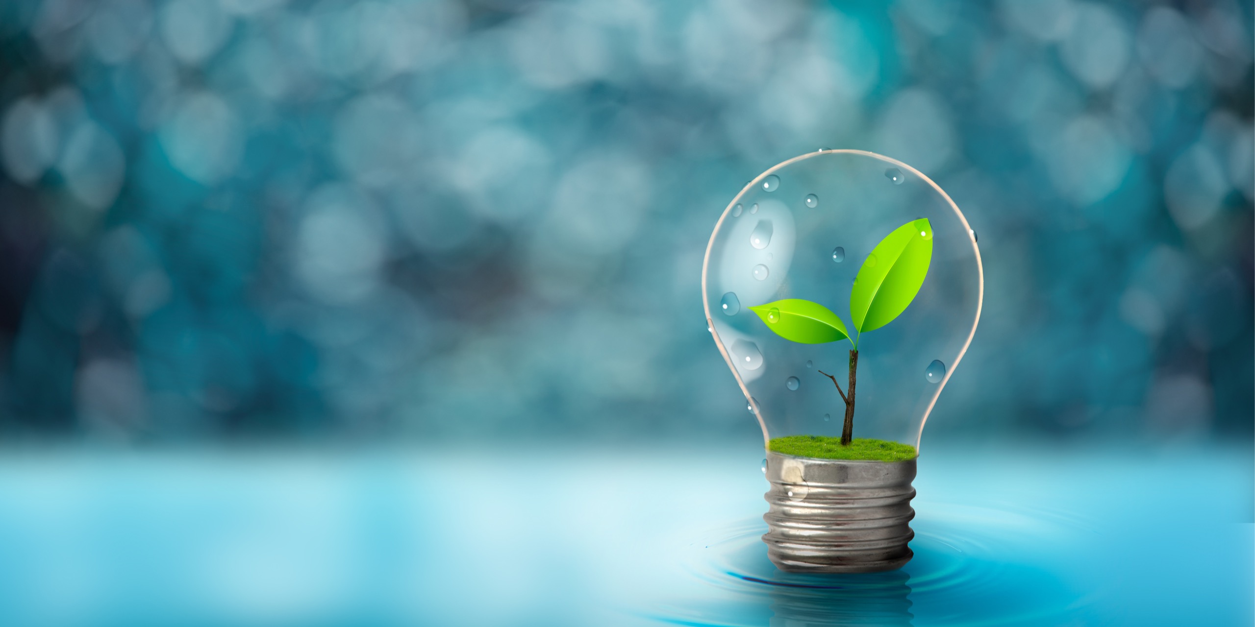 Kassenärztliche Zulassung