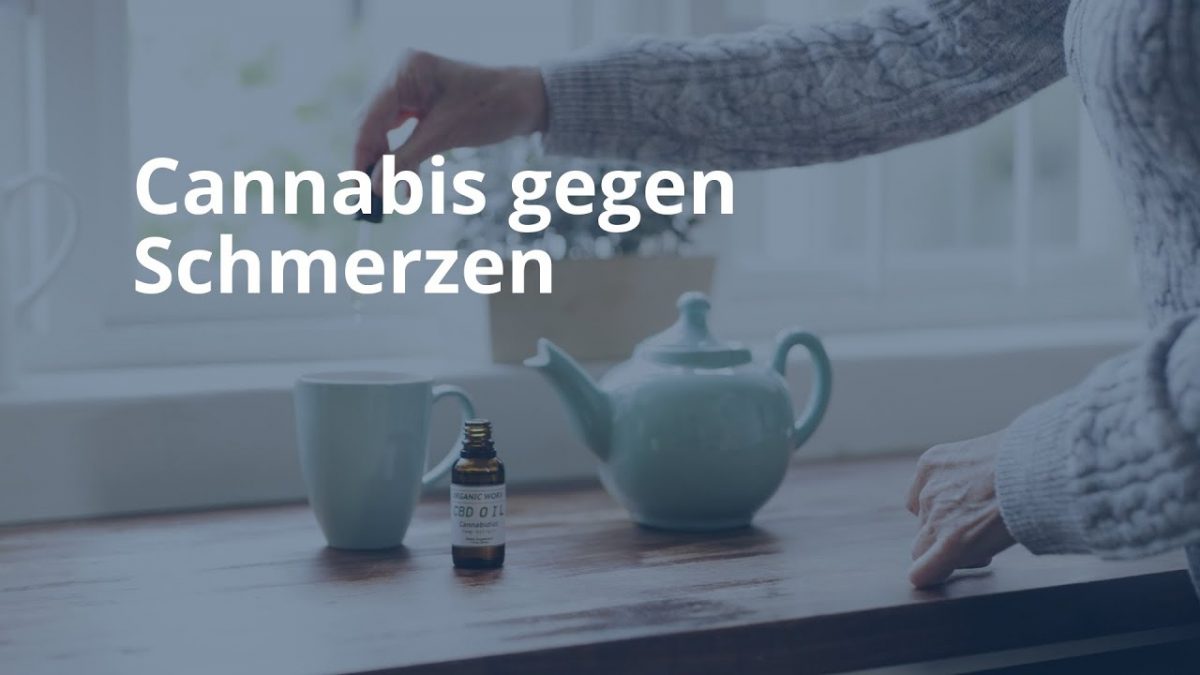 Cannabis Gegen Schmerzen - Mediorbis