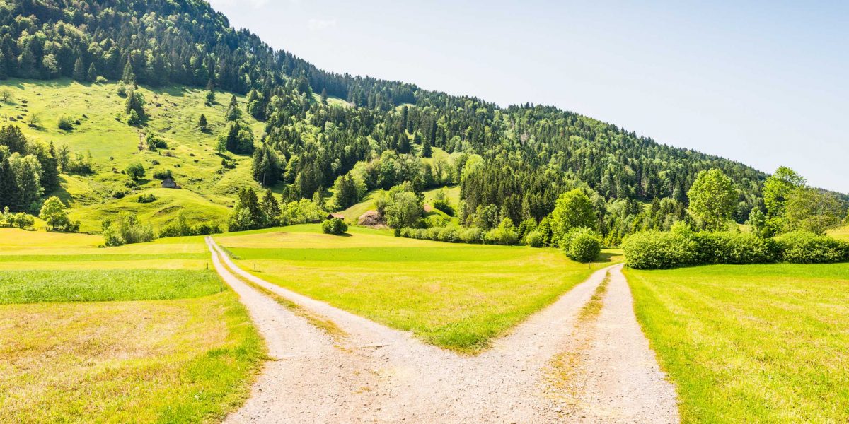 Nachfolge-Konzept oder Wachstums-Konzept