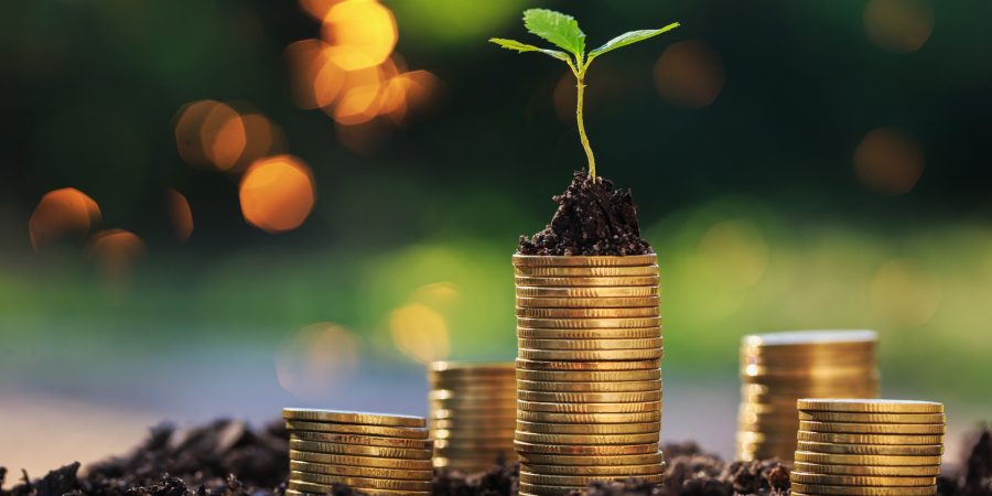 nachhaltigkeit-rendite