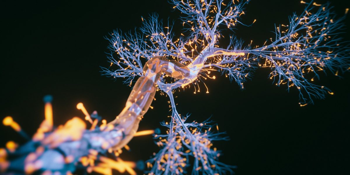 Molekülaufnahme als Beispiel dafür, was man im Nanobiotechnologie-Studium lernt.