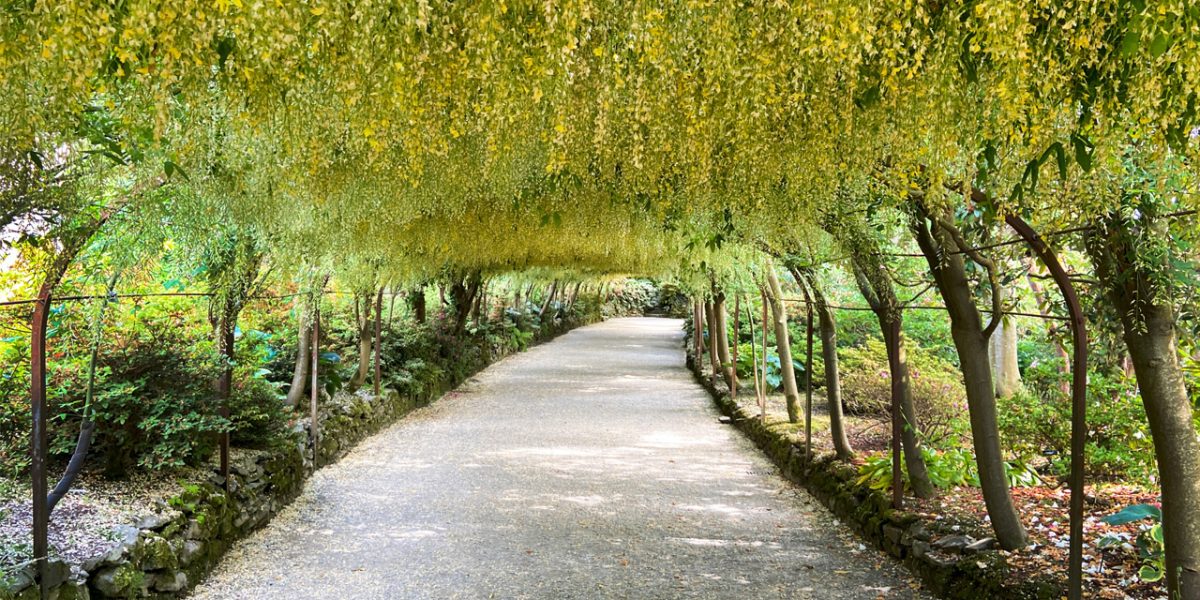 praxisabgabe an investoren