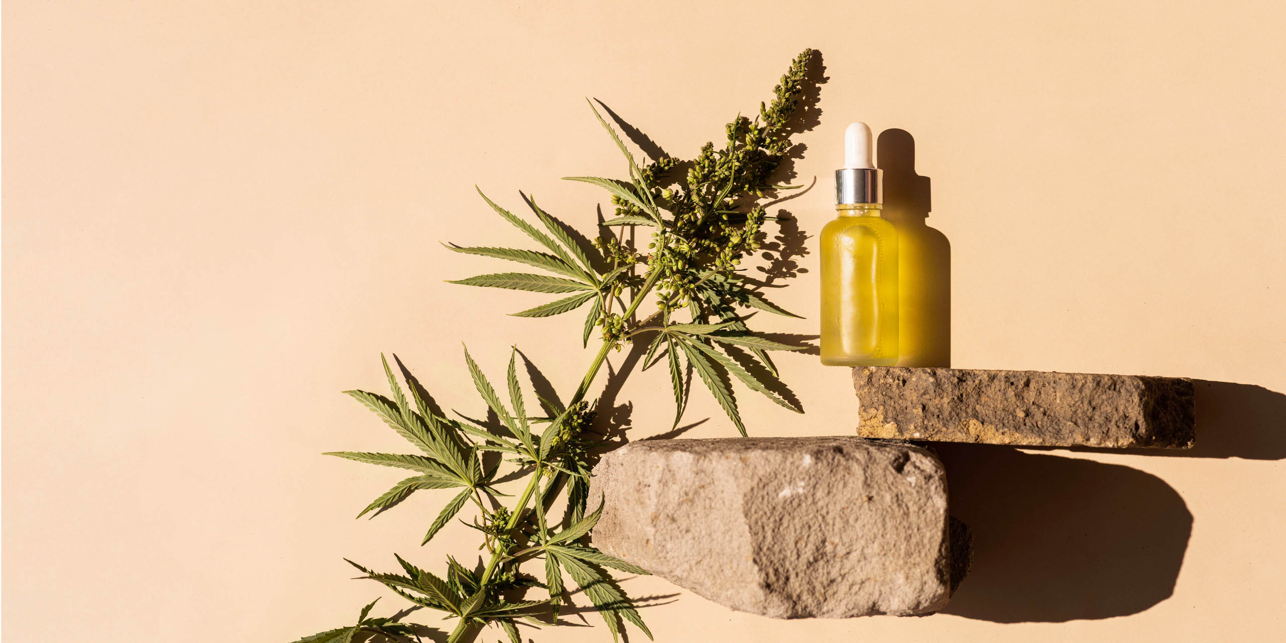 Teil einer Cannabispflanze und ein Fläschchen mit Cannabisöl