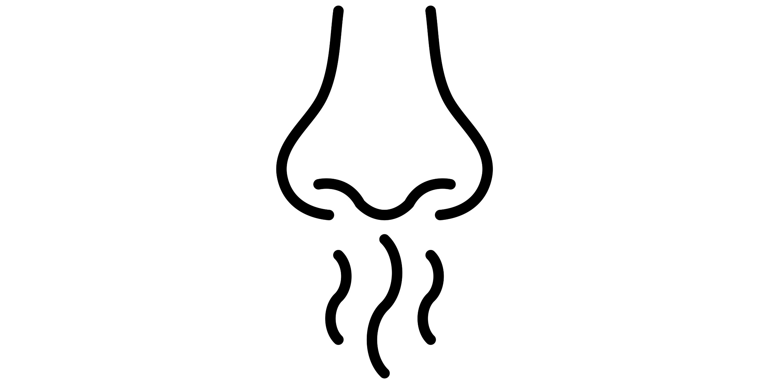 Grafik von Nase, die Geruch aufnimmt